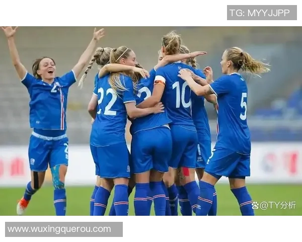 冰岛足球明星球员及其在国际赛场上的崛起与贡献分析