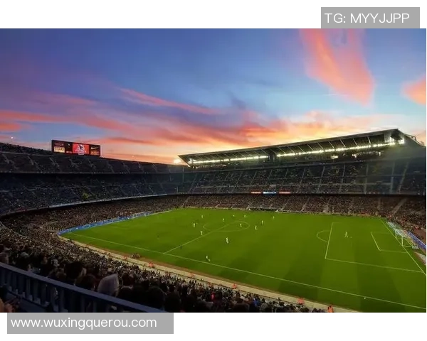 足球巨星的传奇人生与绿茵场上的辉煌时刻